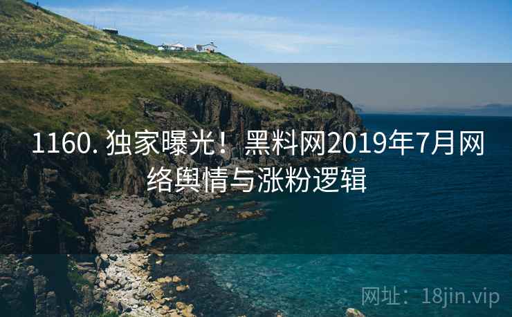 1160. 独家曝光!黑料网2019年7月网络舆情与涨粉逻辑